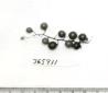 Click for 1 image(s) for this accession. FRUIT